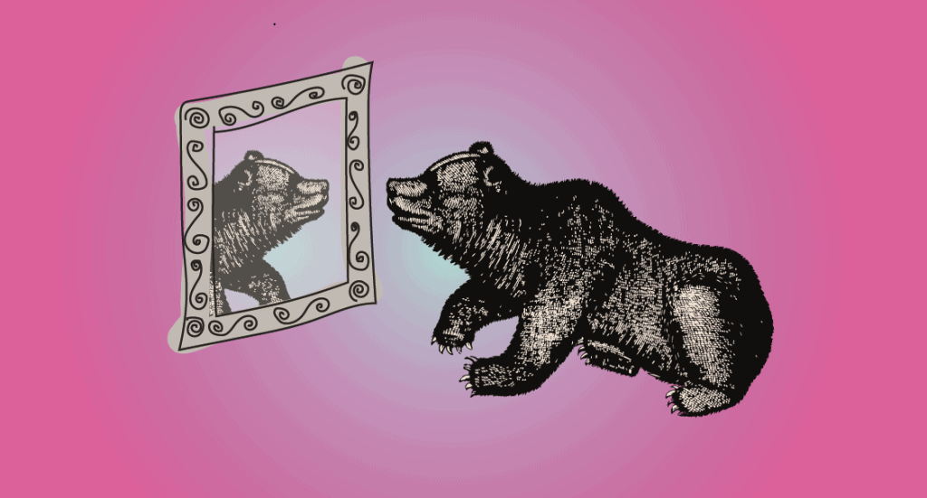 bear in mirror
