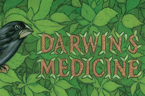 Darwin's Medicine