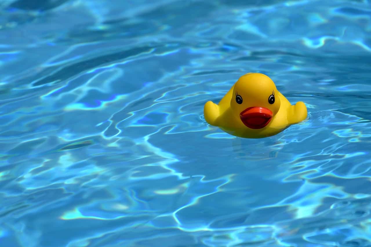 rubber duck in swimming pool