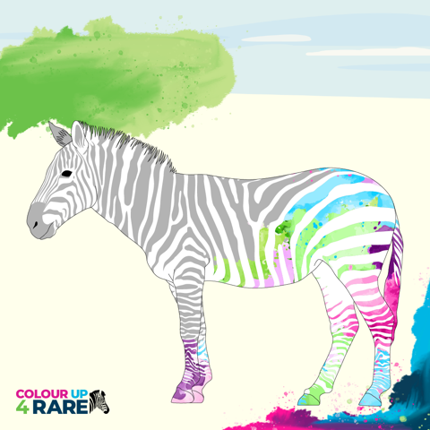 Announcing Year of the Zebra in 2023: Educating millions about rare  disorders