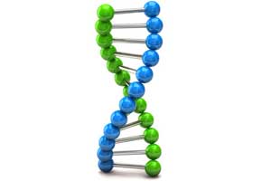 Rediscovering the X factor