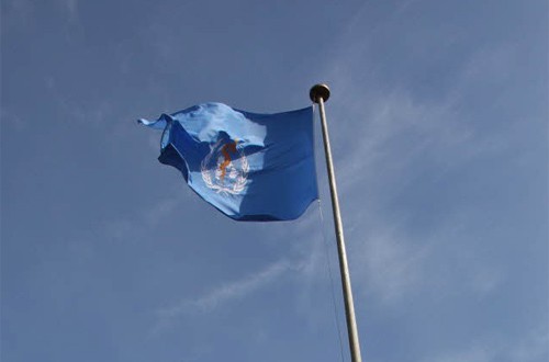 World Health Organization WHO flag