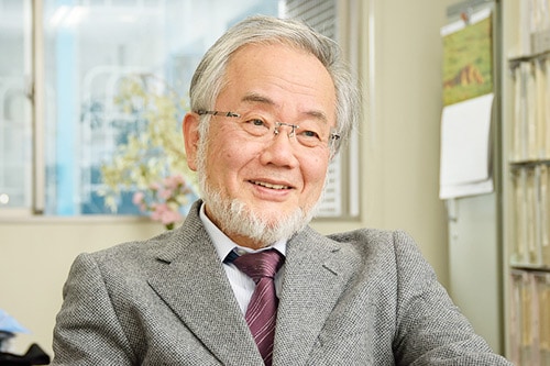 Yoshinori Ohsumi Nobel Prize in Physiology or Medicine