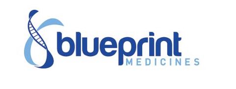 blueprint medicines