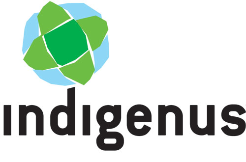 indigenus_logo_no_tagline