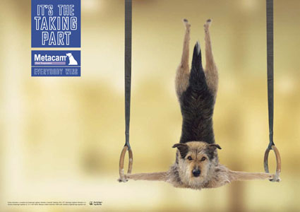 Metacam_rings - Healthcare Advert