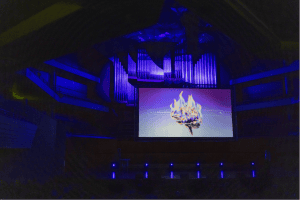  | Havas Lynx celebrates 40 years of impact